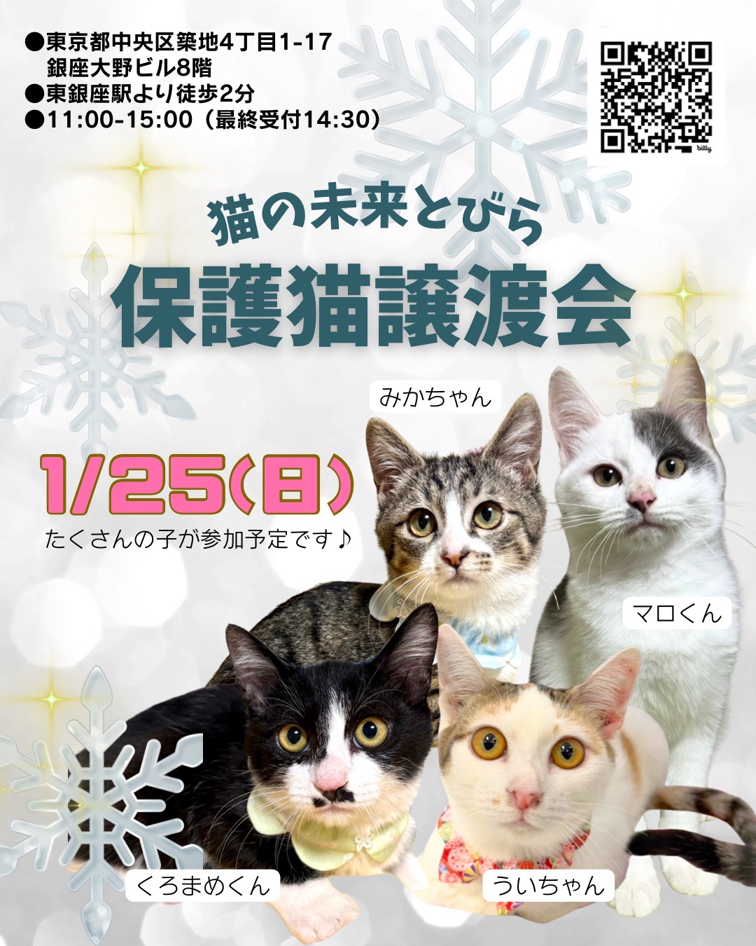 <center>猫の未来とびら譲渡会in東銀座</center>