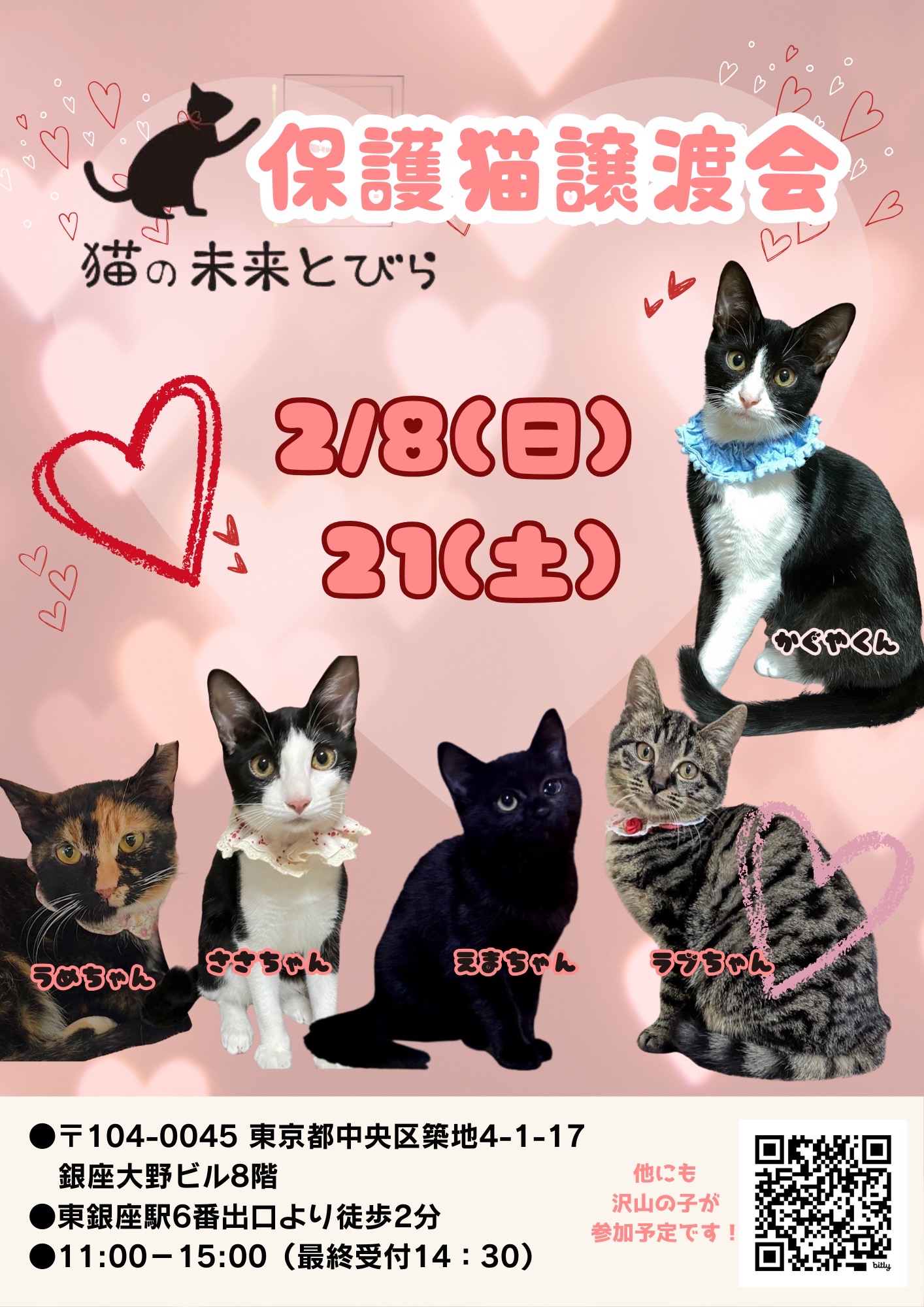 <center>猫の未来とびら譲渡会in東銀座</center>