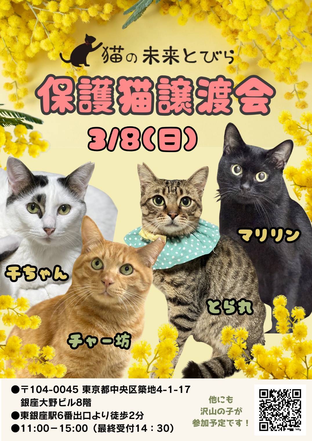 <center>猫の未来とびら譲渡会in東銀座</center>