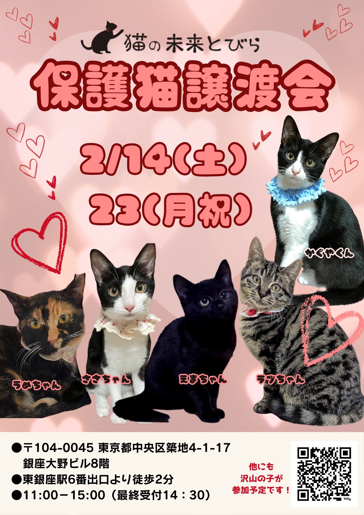<center>猫の未来とびら譲渡会in東銀座</center>